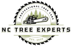 nc tree experts blog Emergency tree removal in Raleigh NC Tree trimming services in Greensboro NC Professional tree cutting in Lexington NC Storm damage tree cleanup Raleigh North Carolina Residential tree removal Greensboro NC Stump grinding services Lexington NC Yard grading and leveling Raleigh NC Fallen tree removal Greensboro North Carolina Tree pruning for homes in Lexington NC Emergency storm cleanup Raleigh area Land grading contractors Greensboro NC Tree service company in Lexington North Carolina Residential stump removal Raleigh NC Tree cutting near Greensboro NC Storm cleanup and debris removal Lexington NC
