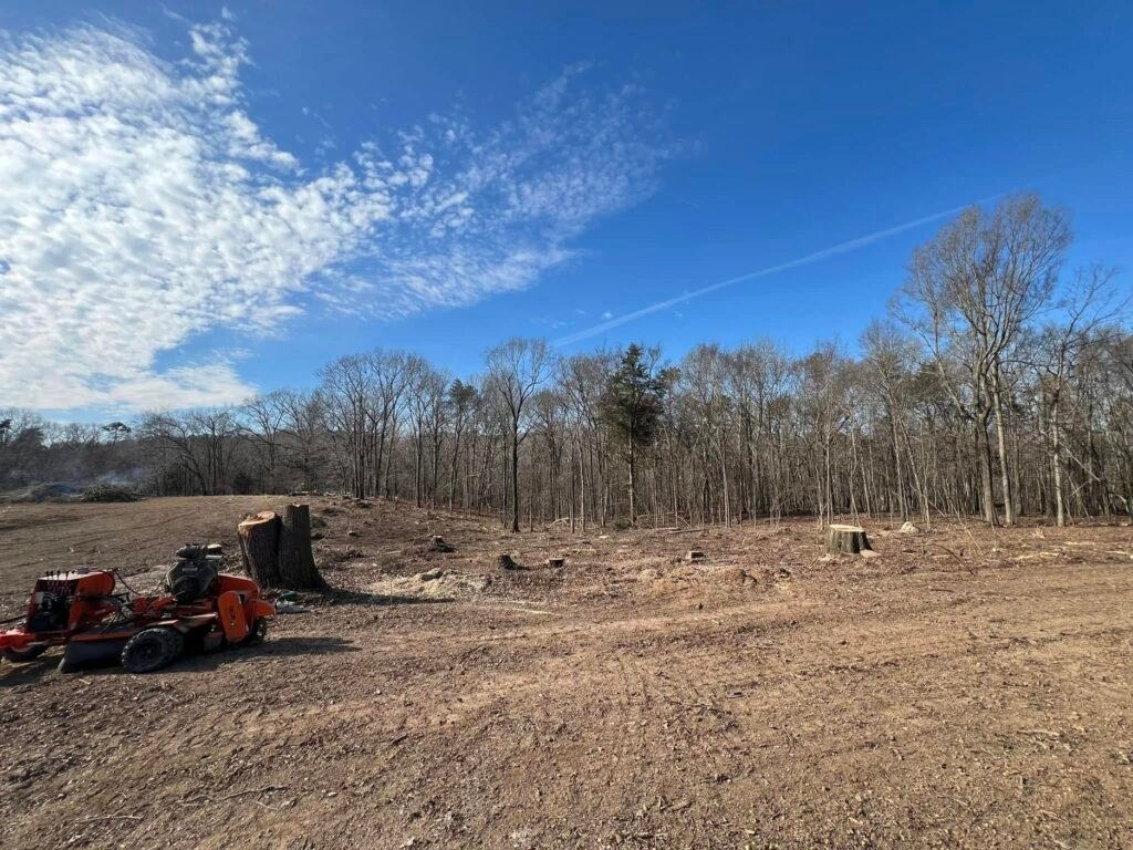 Residential Grading in Holly Springs Residential Grading in Fuquay-Varina Residential Grading in Garner Residential Grading in Morrisville Residential Grading in Apex Residential Grading in Cary Residential Grading in Lexington Residential Grading in Kernersville Residential Grading in Asheboro Residential Grading in Thomasville Residential Grading in Burlington Residential Grading in High Point Residential Grading in Winston-Salem Residential Grading in Greensboro residential grading Emergency tree removal in Raleigh NC Tree trimming services in Greensboro NC Professional tree cutting in Lexington NC Storm damage tree cleanup Raleigh North Carolina Residential tree removal Greensboro NC Stump grinding services Lexington NC Yard grading and leveling Raleigh NC Fallen tree removal Greensboro North Carolina Tree pruning for homes in Lexington NC Emergency storm cleanup Raleigh area Land grading contractors Greensboro NC Tree service company in Lexington North Carolina Residential stump removal Raleigh NC Tree cutting near Greensboro NC Storm cleanup and debris removal Lexington NC