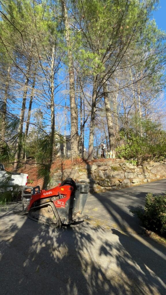 Emergency Tree Services in Holly Springs Emergency Tree Services in Fuquay-Varina Emergency Tree Services in Garner Emergency Tree Services in Morrisville Emergency Tree Services in Apex Emergency Tree Services in Cary Emergency Tree Services in Lexington Emergency Tree Services in Kernersville Emergency Tree Services in Asheboro Emergency Tree Services in Thomasville Emergency Tree Services in Burlington Emergency Tree Services in High Point Emergency Tree Services in Winston-Salem Emergency Tree Services in Greensboro emergency tree service