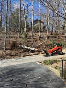 dead branches Tree Removal in Fuquay-Varina Tree Removal in Holly Springs Tree Removal in Garner Tree Removal in Morrisville Tree Removal in Apex Tree Removal in Cary Tree Removal in Lexington Tree Removal in Kernersville Tree Removal in Asheboro Tree Removal in Thomasville Tree Removal in Burlington Tree Removal in High Point Tree Removal in Winston-Salem Tree Removal in Greensboro tree removal about nc tree Tree Removal in Fuquay-Varina Tree Removal in Holly Springs Tree Removal in Garner Tree Removal in Morrisville Tree Removal in Apex Tree Removal in Cary Tree Removal in Lexington Tree Removal in Kernersville Tree Removal in Asheboro Tree Removal in Thomasville Tree Removal in Burlington Tree Removal in High Point Tree Removal in Winston-Salem Tree Removal in Greensboro tree removal about nc tree