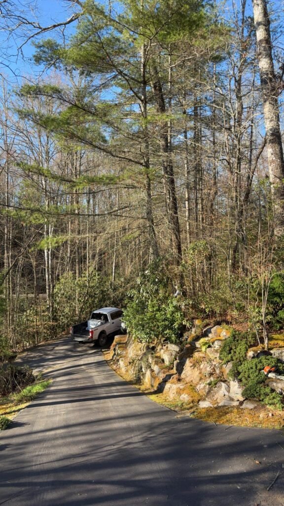 Emergency Tree Services in Holly Springs Emergency Tree Services in Fuquay-Varina Emergency Tree Services in Garner Emergency Tree Services in Morrisville Emergency Tree Services in Apex Emergency Tree Services in Cary Emergency Tree Services in Lexington Emergency Tree Services in Kernersville Emergency Tree Services in Asheboro Emergency Tree Services in Thomasville Emergency Tree Services in Burlington Emergency Tree Services in High Point Emergency Tree Services in Winston-Salem Emergency Tree Services in Greensboro emergency tree service about nc tree