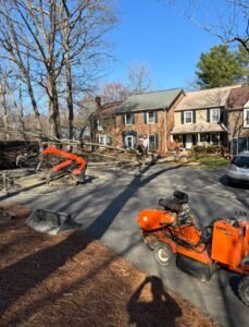 Storm & Disaster Cleanup in Holly Springs Storm & Disaster Cleanup in Fuquay-Varina Storm & Disaster Cleanup in Garner Storm & Disaster Cleanup in Morrisville Storm & Disaster Cleanup in Apex Storm & Disaster Cleanup in Cary Storm & Disaster Cleanup in Lexington Storm & Disaster Cleanup in Kernersville Storm & Disaster Cleanup in Asheboro Storm & Disaster Cleanup in Thomasville Storm & Disaster Cleanup in Burlington Storm & Disaster Cleanup in High Point Storm & Disaster Cleanup in Winston-Salem Storm & Disaster Cleanup in Greensboro contact storm & disaster cleanup Emergency Tree Services in Holly Springs Emergency Tree Services in Fuquay-Varina Emergency Tree Services in Garner Emergency Tree Services in Morrisville Emergency Tree Services in Apex Emergency Tree Services in Cary Emergency Tree Services in Lexington Emergency Tree Services in Kernersville Emergency Tree Services in Asheboro Emergency Tree Services in Thomasville Emergency Tree Services in Burlington Emergency Tree Services in High Point Emergency Tree Services in Winston-Salem Emergency Tree Services in Greensboro emergency tree service Emergency tree removal in Raleigh NC Tree trimming services in Greensboro NC Professional tree cutting in Lexington NC Storm damage tree cleanup Raleigh North Carolina Residential tree removal Greensboro NC Stump grinding services Lexington NC Yard grading and leveling Raleigh NC Fallen tree removal Greensboro North Carolina Tree pruning for homes in Lexington NC Emergency storm cleanup Raleigh area Land grading contractors Greensboro NC Tree service company in Lexington North Carolina Residential stump removal Raleigh NC Tree cutting near Greensboro NC Storm cleanup and debris removal Lexington NC