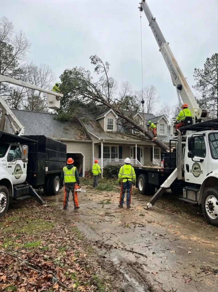 emergency tree removal Raleigh NC after storm fallen tree removal service Charlotte NC emergency tree service Lexington NC removing large tree storm damaged tree removal Greensboro NC emergency tree removal Winston-Salem NC near home tree fell on house emergency removal North Carolina dangerous leaning tree emergency removal service storm damage tree cleanup Raleigh NC large uprooted tree removal Charlotte NC emergency tree removal crew removing storm tree
