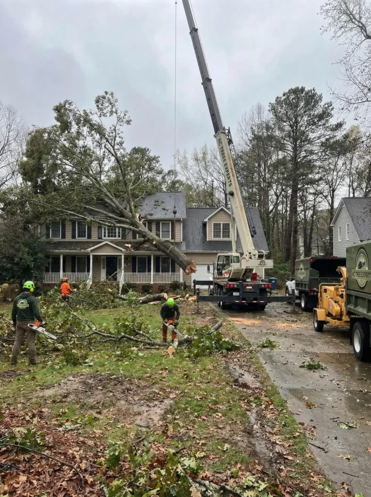 emergency tree removal Raleigh NC after storm fallen tree removal service Charlotte NC emergency tree service Lexington NC removing large tree storm damaged tree removal Greensboro NC emergency tree removal Winston-Salem NC near home tree fell on house emergency removal North Carolina dangerous leaning tree emergency removal service storm damage tree cleanup Raleigh NC large uprooted tree removal Charlotte NC emergency tree removal crew removing storm tree