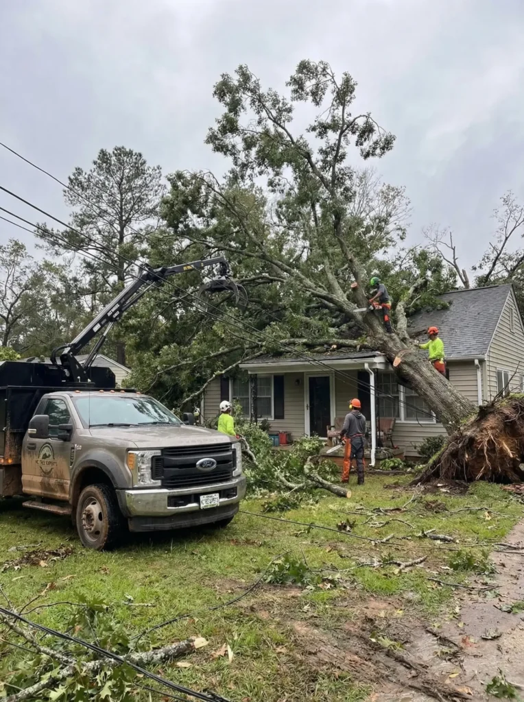 emergency tree removal Raleigh NC after storm fallen tree removal service Charlotte NC emergency tree service Lexington NC removing large tree storm damaged tree removal Greensboro NC emergency tree removal Winston-Salem NC near home tree fell on house emergency removal North Carolina dangerous leaning tree emergency removal service storm damage tree cleanup Raleigh NC large uprooted tree removal Charlotte NC emergency tree removal crew removing storm tree